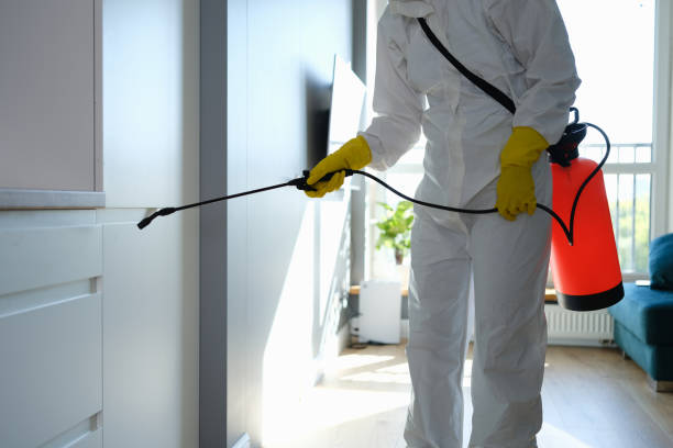 Best Mold Testing  in Maywood, IL