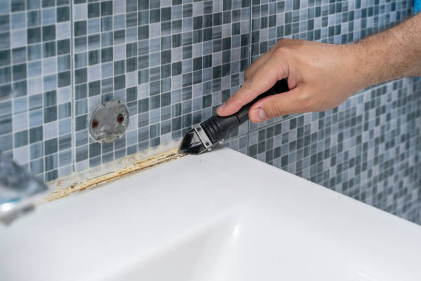 Best Mold Remediation Experts  in Maywood, IL